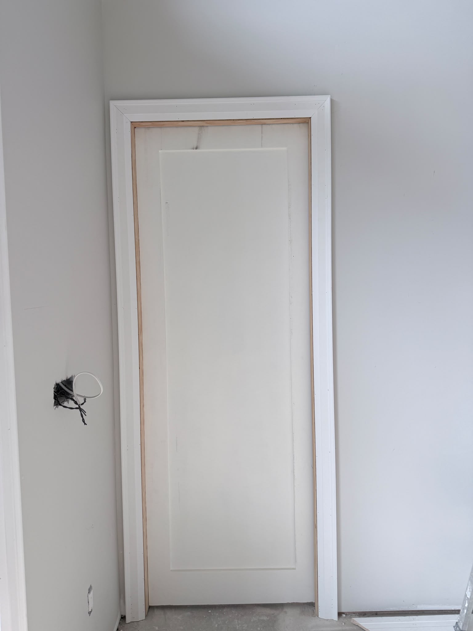 White single-panel interior door installed in a finished wall